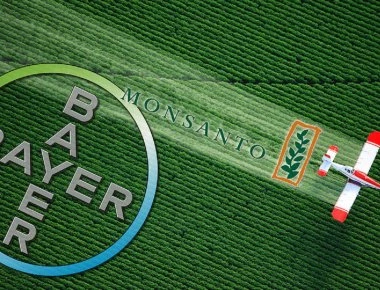 DW: «Κλείδωσε» η εξαγορά της Monsanto από την Bayer